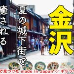 【金沢ひとり旅✈️】和でJazzyな茶屋街散歩で癒される！ちょこっとグルメも！鼓門・九谷焼・尾山神社・JALマイルで行く金沢  🌺 M’s Journey